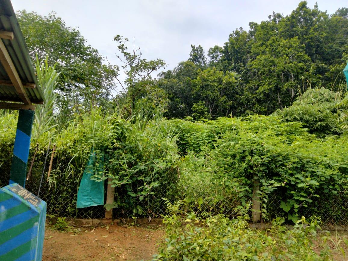 C:\Users\Lavinia Pde\Downloads\WhatsApp Image 2023-03-29 at 17.36.22.jpeg